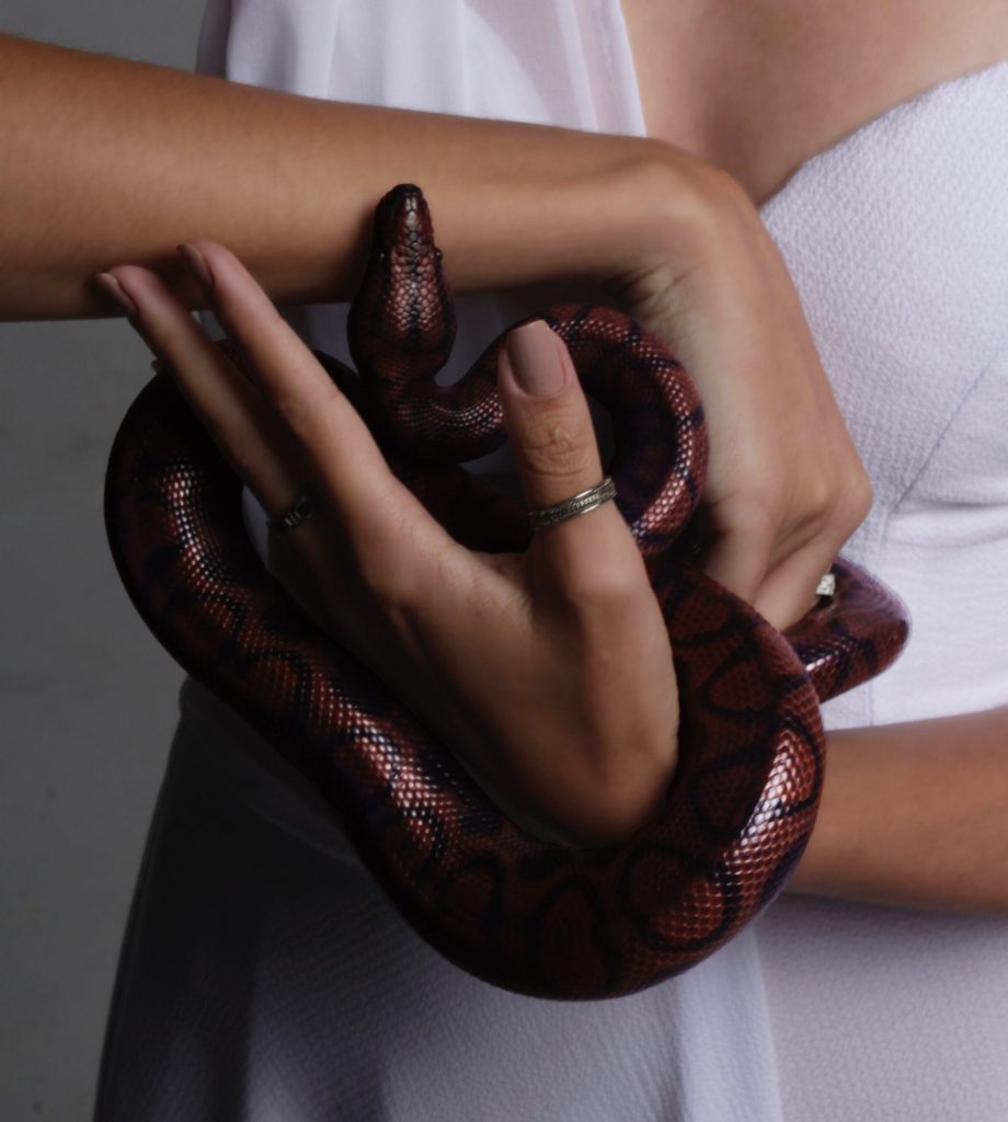 Mi Viaje con una Serpiente Exótica